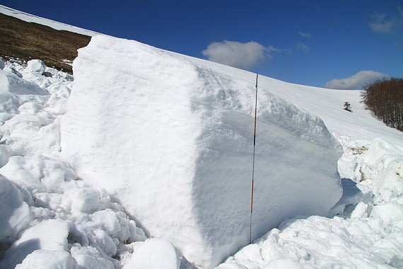 Sn�hov� odtrhy, Starostyna