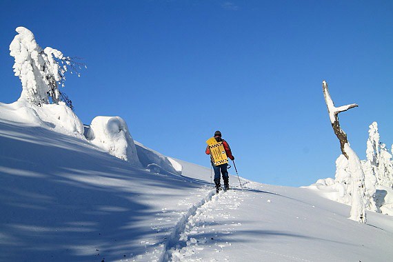 V�voz lavinov�ch tabul�