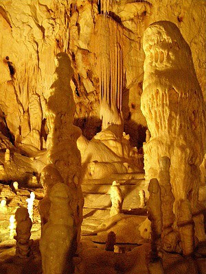 Pestera Ursilor, Medvd jeskyn v Apusench