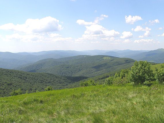 Obl� h�ebeny Bieszczad