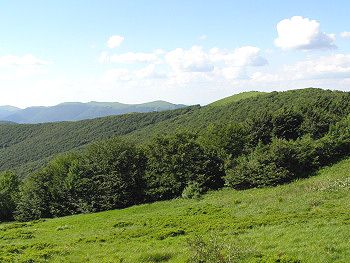 Cestou na Malou Rawku