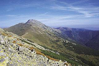 �umbier od z�padu