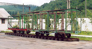 Lesn� dr�ha, Skolje