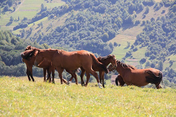 Na h�ebeni jsme nebyli sami �