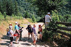 Nad obc� Us� �orn�