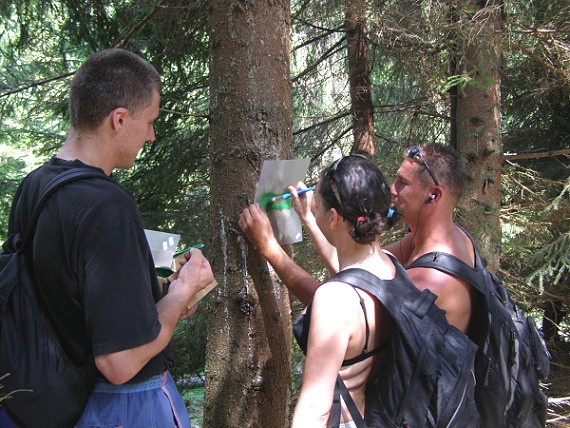 Cesta lesem stoup� pom�rn� strm�