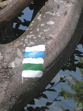 Soub�h zelen� a modr� zna�ky z Kolo�avy