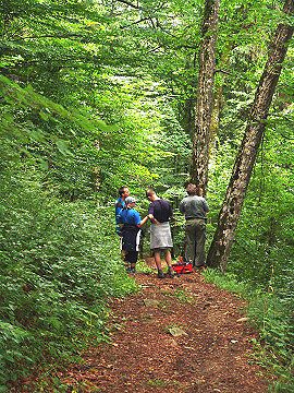 Cesta lesem na Poloninu Svidovec