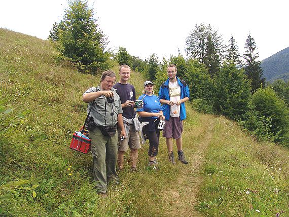 Nad horn� hranici lesa na Polonin� Svidovec