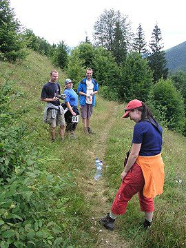 Na horn� hranici lesa