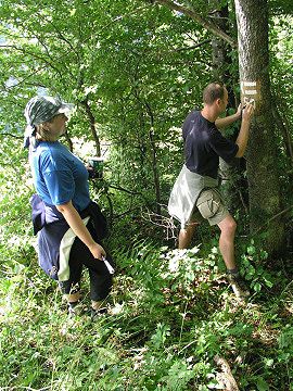 Pr�v� p�ibyla dal�� zna�ka