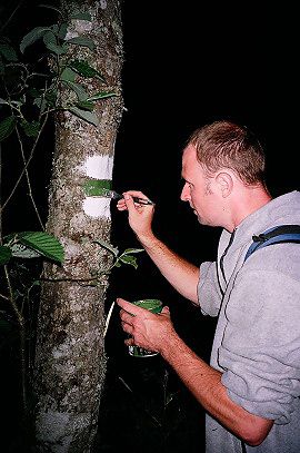 Na nejdel�� trase zna�en� pokra�ovalo i v noci