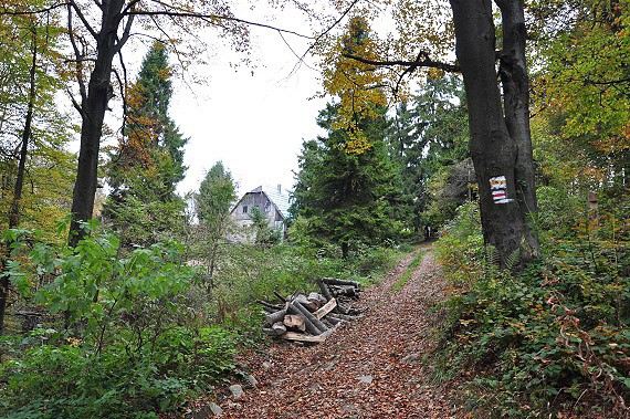 Cesta k chatě na Javorníku